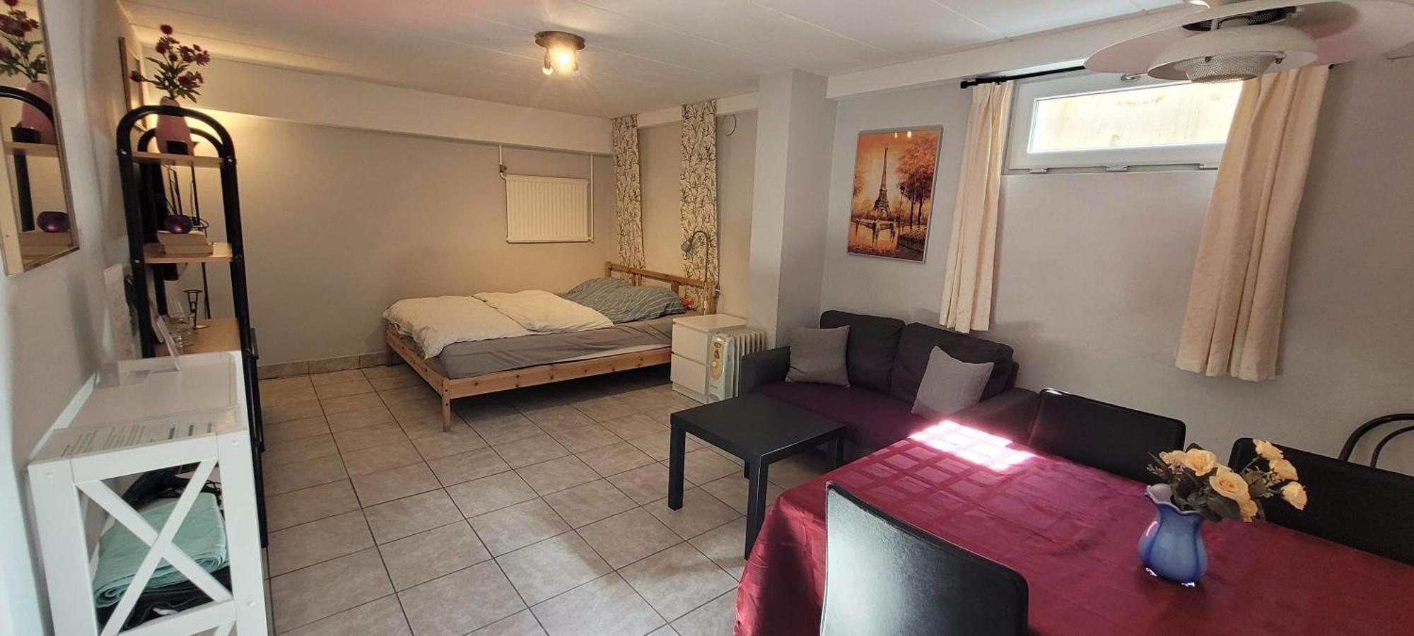 Spacious 110m2 2br Basement Retreat, Jacuzzi, Table Tennis & Garden Access Lägenhet Malmö